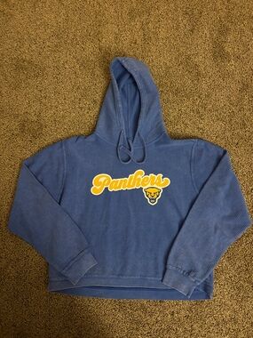 Pitt Panthers Cropped Hoodie